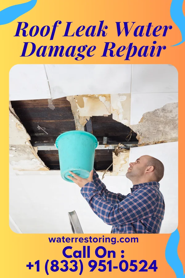 Roof Leak Water Damage Repair in Georgetown, ID